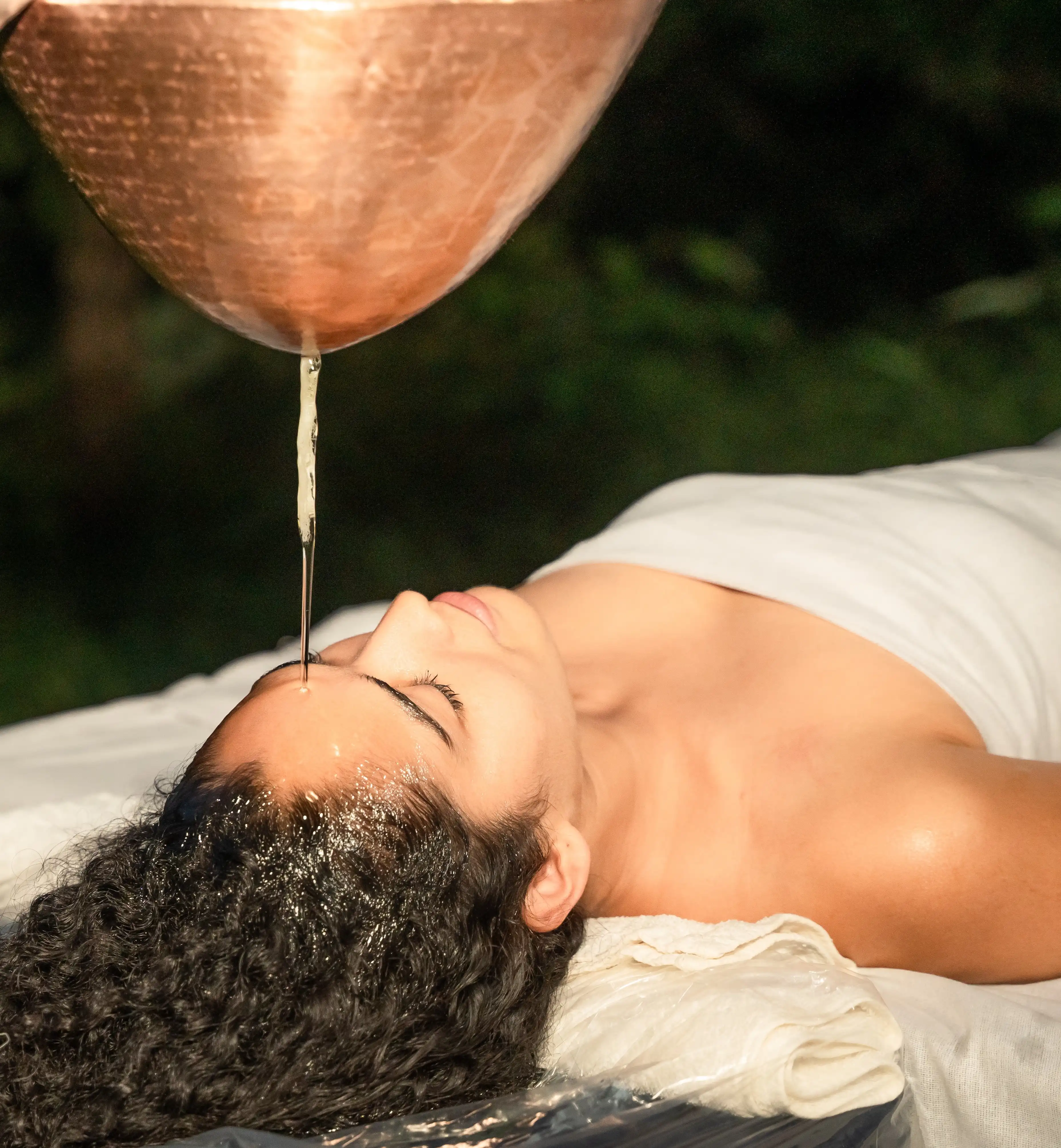 1 Day Ayurveda Wellness Programme