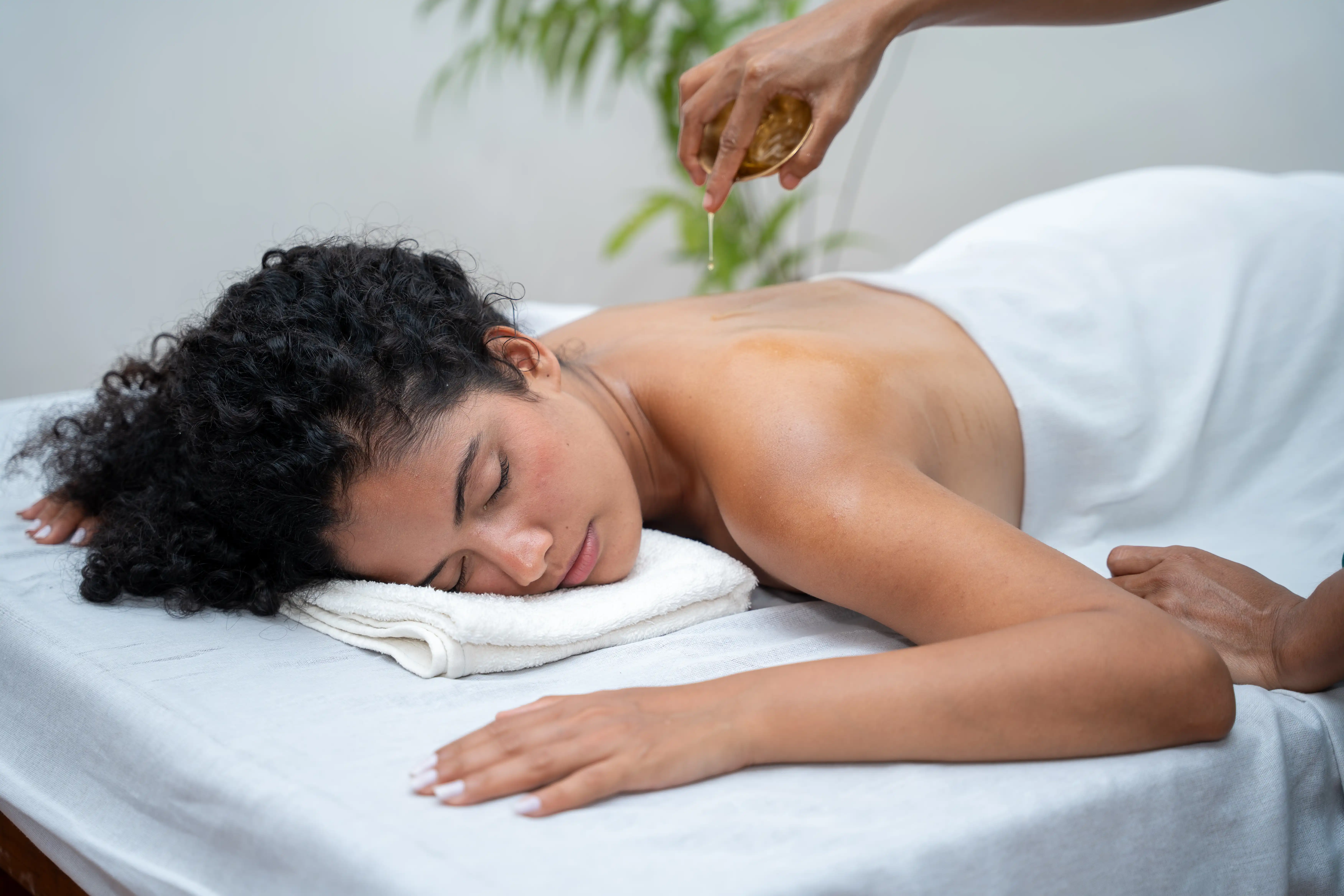 2 Days 2 Nights Ayurveda Wellness Package